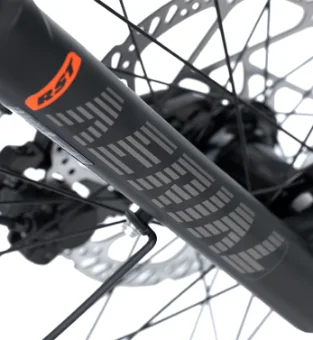 Suspension
